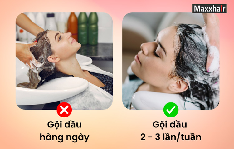 Gội đầu mỗi ngày có thể khiến tóc khô xơ, dễ gãy rụng Gội đầu mỗi ngày có thể khiến tóc khô xơ, dễ gãy rụng
