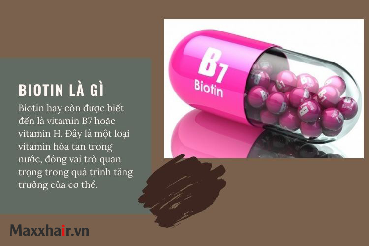 Biotin là gì? 1 Biotin là gì? 1