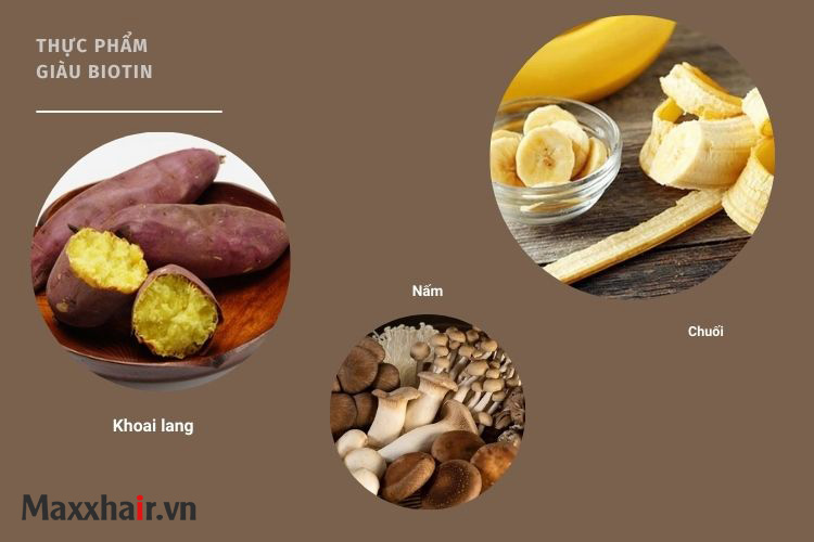 Bổ sung Biotin cho tóc qua thực phẩm hàng ngày Bổ sung Biotin cho tóc qua thực phẩm hàng ngày
