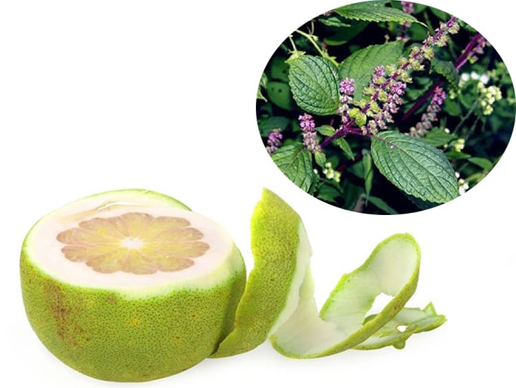 Dầu gội đầu giảm dầu nhờn trên da đầu từ vỏ bưởi và hương nhu Dầu gội đầu giảm dầu nhờn trên da đầu từ vỏ bưởi và hương nhu