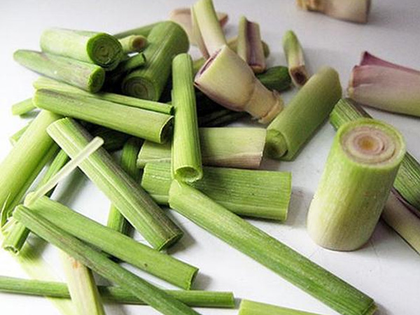 Cách nấu vỏ bưởi để gội đầu 2 Cách nấu vỏ bưởi để gội đầu 2