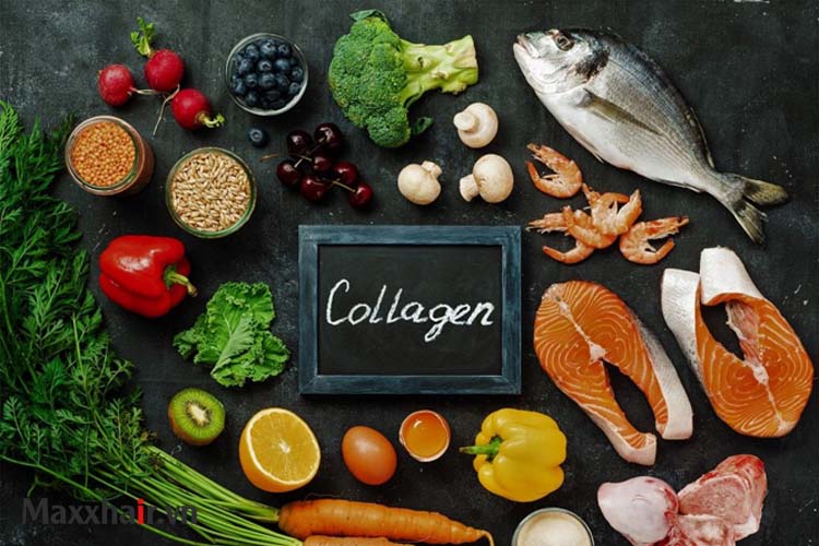 13. Collagen 1 13. Collagen 1
