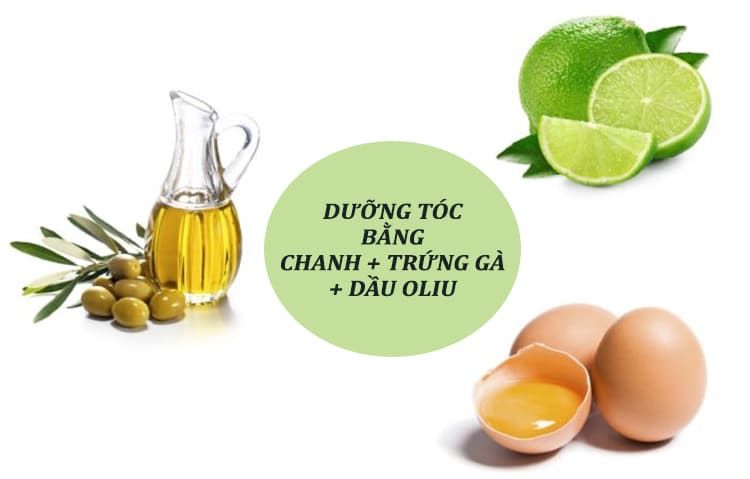 Hỗn hợp chanh, trứng gà và dầu oliu trị tóc chẻ ngọn Hỗn hợp chanh, trứng gà và dầu oliu trị tóc chẻ ngọn