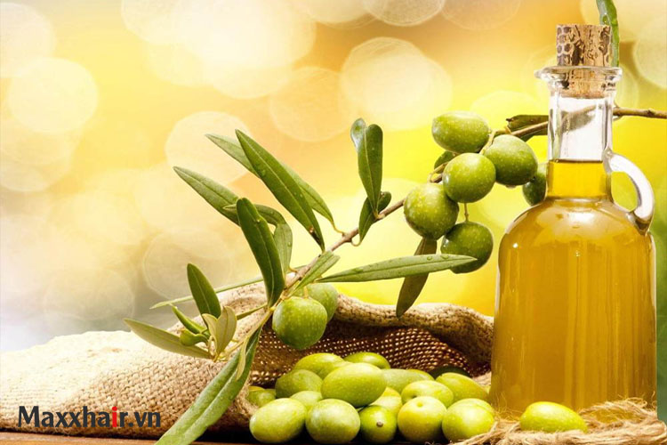 Cách 6: Dầu Oliu giúp tóc nhanh mọc dày 1 Cách 6: Dầu Oliu giúp tóc nhanh mọc dày 1
