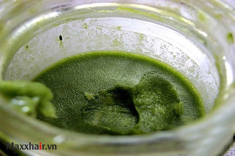 Trị rụng tóc bằng lá ổi xay 1 Trị rụng tóc bằng lá ổi xay 1