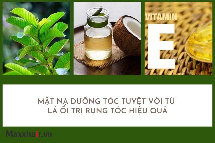 Mặt nạ lá ổi, vitamin E và dầu dừa 1 Mặt nạ lá ổi, vitamin E và dầu dừa 1