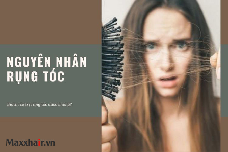 Nguyên nhân dẫn đến hiện tượng rụng tóc 1 Nguyên nhân dẫn đến hiện tượng rụng tóc 1