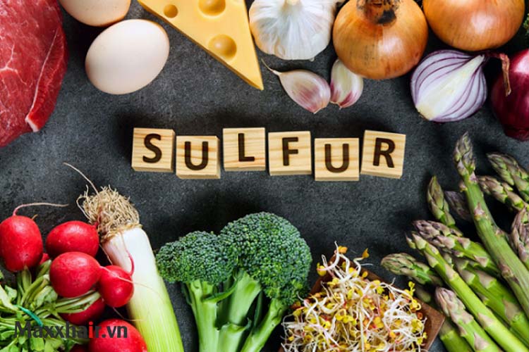 6. Sunphua 1 6. Sunphua 1