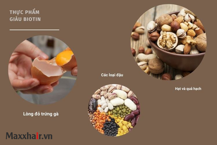Bổ sung Biotin cho tóc qua thực phẩm hàng ngày Bổ sung Biotin cho tóc qua thực phẩm hàng ngày