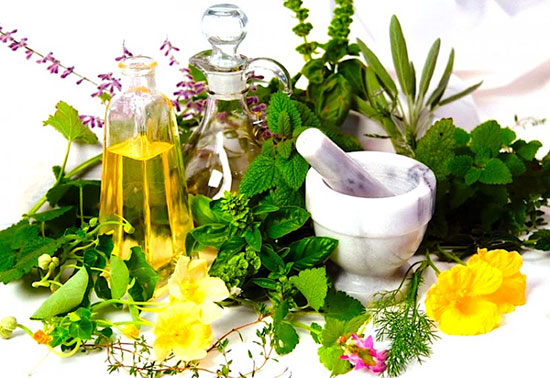 2. Lá Hương Nhu và tinh dầu bưởi 1 2. Lá Hương Nhu và tinh dầu bưởi 1