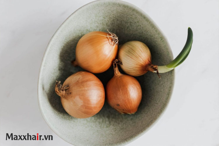 5. Ăn hành tây mỗi ngày để trị rụng tóc 1 5. Ăn hành tây mỗi ngày để trị rụng tóc 1