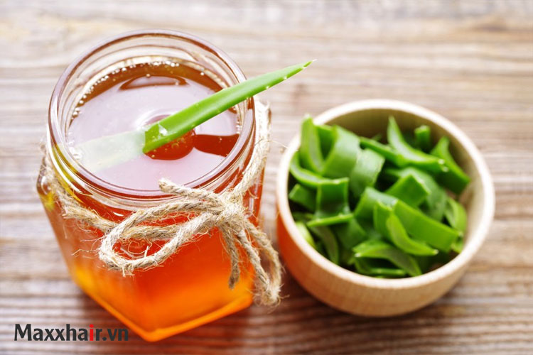 2. Trị rụng tóc bằng nha đam và mật ong 1