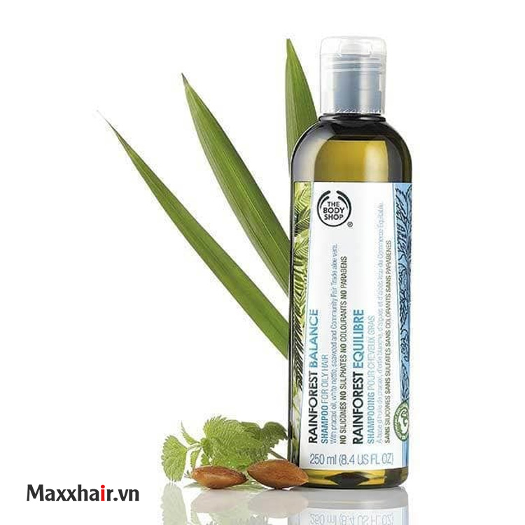 Dầu gội Rainforest Balance Shampoo The Body Shop 1 Dầu gội Rainforest Balance Shampoo The Body Shop 1