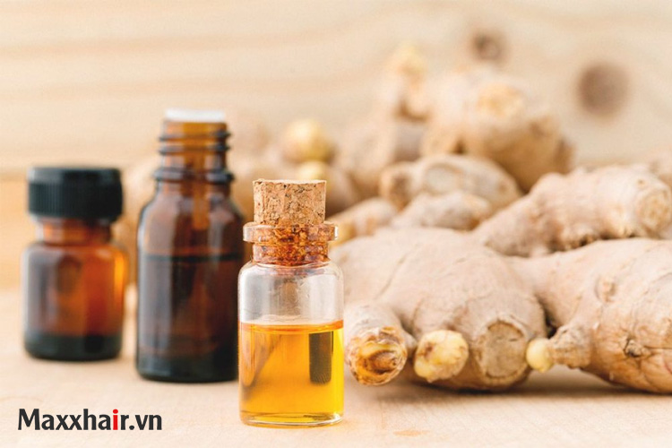 7. Gừng thúc đẩy quá trình mọc tóc 1 7. Gừng thúc đẩy quá trình mọc tóc 1