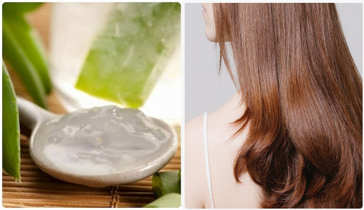 Gel nha đam giúp tóc chắc khỏe, suôn mượt Gel nha đam giúp tóc chắc khỏe, suôn mượt