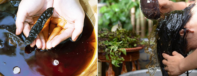 Dầu gội từ thảo dược tự nhiên có khả năng cải thiện tóc hư tổn cực tốt Dầu gội từ thảo dược tự nhiên có khả năng cải thiện tóc hư tổn cực tốt