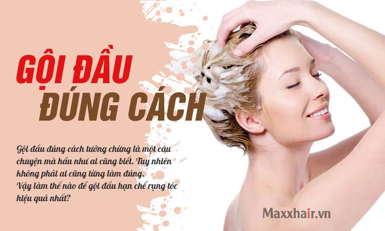10 mẹo gội đầu giúp hạn chế rụng tóc 1 10 mẹo gội đầu giúp hạn chế rụng tóc 1