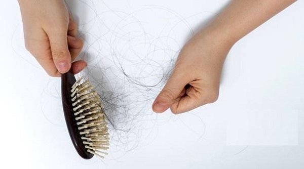 Vuốt nhẹ tóc rụng cả nắm, nhìn mà xót xa 1 Vuốt nhẹ tóc rụng cả nắm, nhìn mà xót xa 1