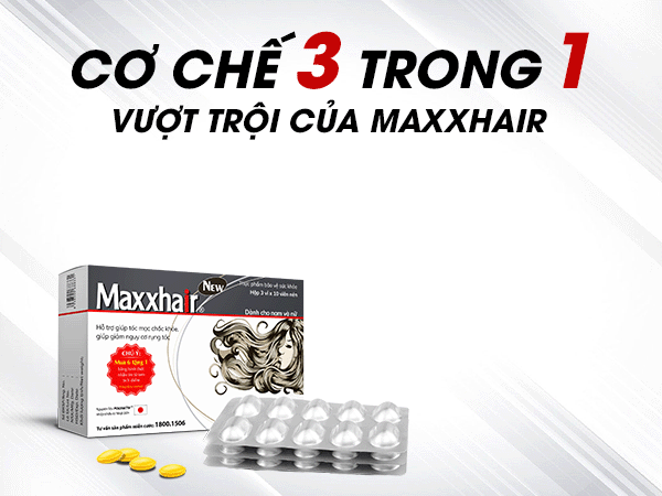 6 Lý do nên chọn Maxxhair để điều trị rụng tóc nhiều, hói đầu 2 6 Lý do nên chọn Maxxhair để điều trị rụng tóc nhiều, hói đầu 2