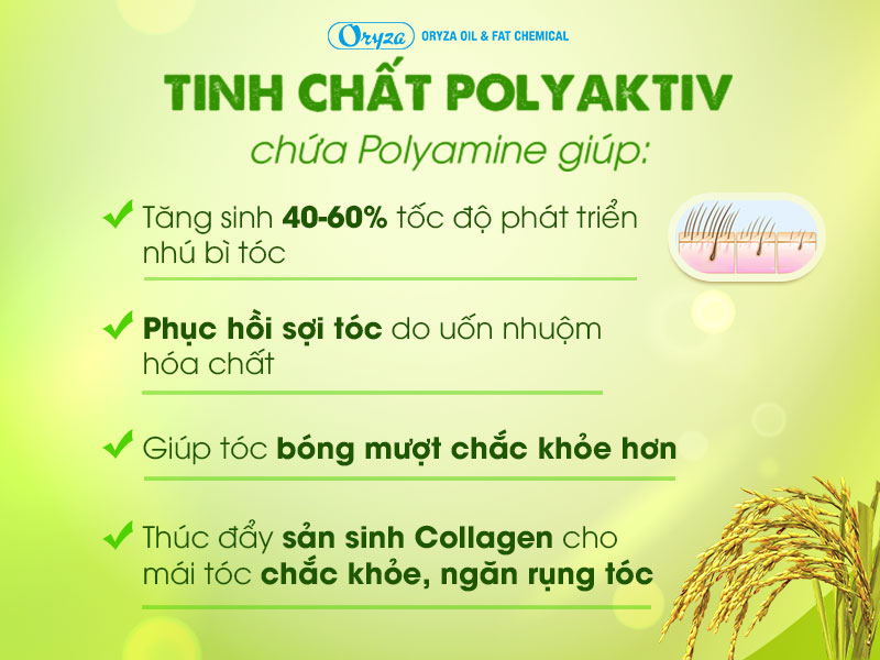 6 Lý do nên chọn Maxxhair để điều trị rụng tóc nhiều, hói đầu 3 6 Lý do nên chọn Maxxhair để điều trị rụng tóc nhiều, hói đầu 3