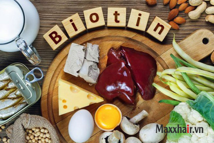 Tóc mọc nhanh dài cùng với một chế độ dinh dưỡng tốt 1 Tóc mọc nhanh dài cùng với một chế độ dinh dưỡng tốt 1