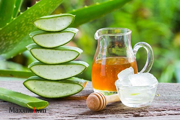 10. Mật ong và nha đam 1 10. Mật ong và nha đam 1