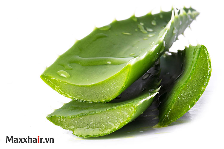 Sử dụng các thành phần có nguồn gốc thiên nhiên 1 Sử dụng các thành phần có nguồn gốc thiên nhiên 1