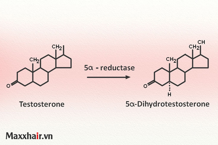Nội tiết tố bị mất cân bằng 1 Nội tiết tố bị mất cân bằng 1