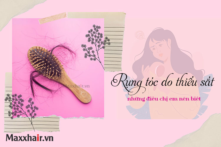 Thực hư việc rụng tóc do thiếu sắt có thể bạn chưa biết 1 Thực hư việc rụng tóc do thiếu sắt có thể bạn chưa biết 1