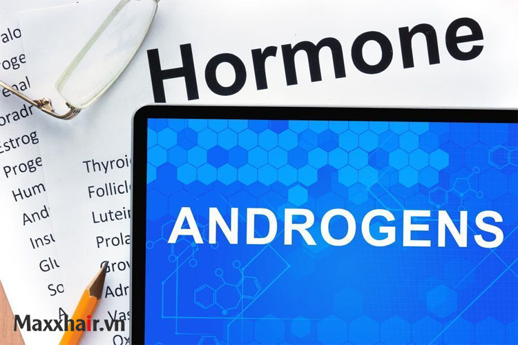 Androgen là gì? 1 Androgen là gì? 1