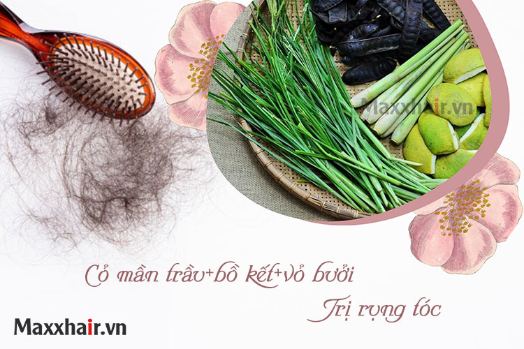 Kết hợp cỏ mần trầu cũng bồ kết và vỏ bưởi 1 Kết hợp cỏ mần trầu cũng bồ kết và vỏ bưởi 1