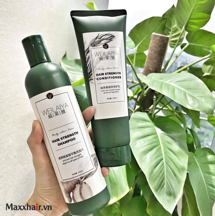 Weilaiya 1 Weilaiya 1