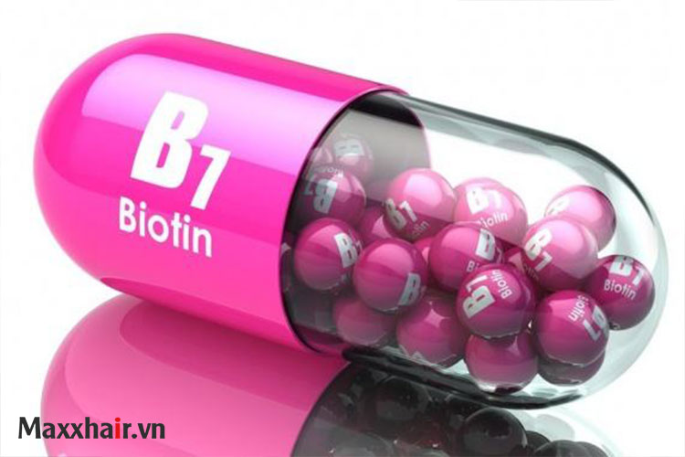 Vitamin B7 1 Vitamin B7 1