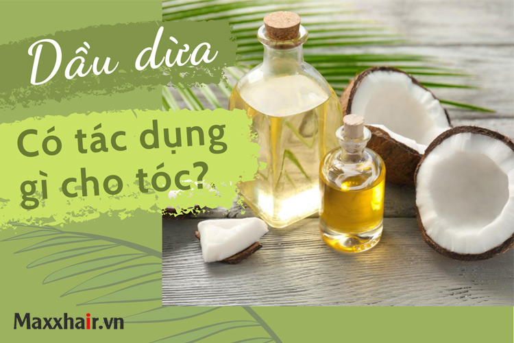 4 công thức làm tóc nhanh dài bằng dầu dừa 1 4 công thức làm tóc nhanh dài bằng dầu dừa 1