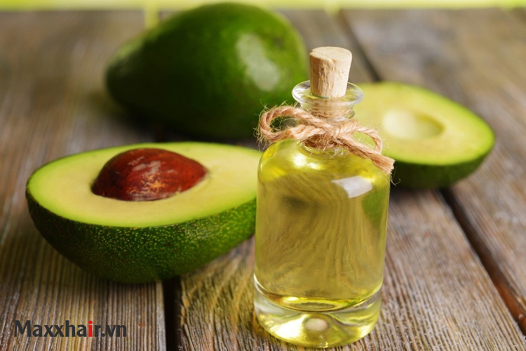 Ủ tóc bằng dầu dừa và bơ 1 Ủ tóc bằng dầu dừa và bơ 1