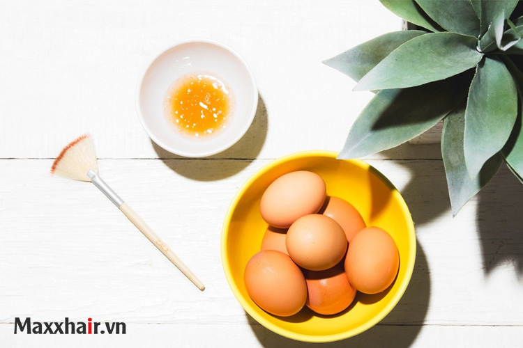 Ủ tóc bằng dầu dừa và trứng gà 1 Ủ tóc bằng dầu dừa và trứng gà 1