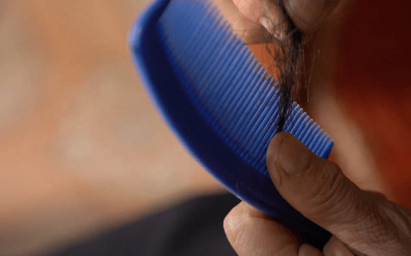 Cô giáo bị trêu là Cô giáo bị trêu là