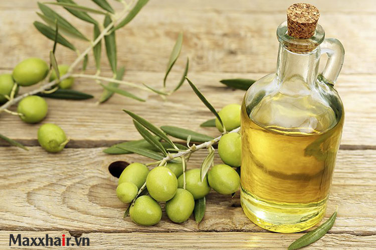 4. Cách mọc tóc nhanh bằng dầu Oliu 1 4. Cách mọc tóc nhanh bằng dầu Oliu 1