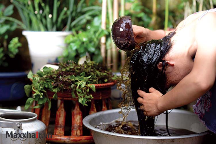 Lựa chọn dầu gội và nước gội đầu. 1 Lựa chọn dầu gội và nước gội đầu. 1