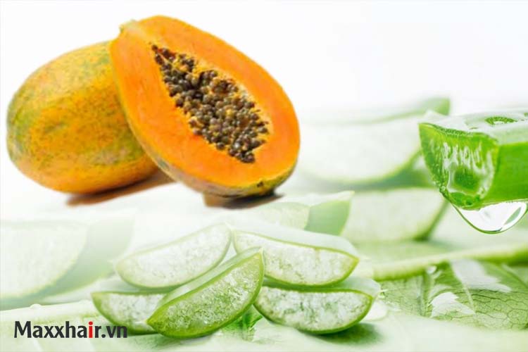 Tóc mọc chắc khỏe với ủ tóc từ đu đủ và lô hội 1