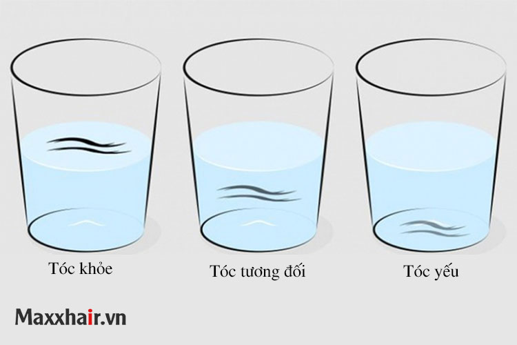 6. Cách nhận biết tóc yếu hay khỏe bằng nước 1 6. Cách nhận biết tóc yếu hay khỏe bằng nước 1