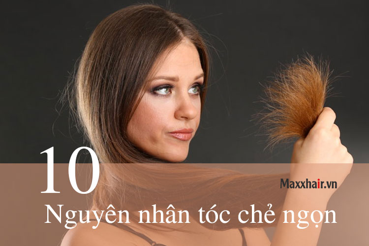 Tổng hợp 10 nguyên nhân tóc chẻ ngọn