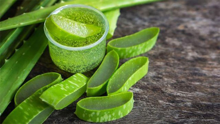 Bí quyết chữa rụng tóc từ các nguyên liệu tự nhiên 1 Bí quyết chữa rụng tóc từ các nguyên liệu tự nhiên 1