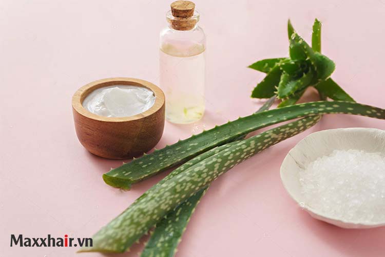 6. Ngăn rụng tóc từ những nguyên liệu tự nhiên 2 6. Ngăn rụng tóc từ những nguyên liệu tự nhiên 2