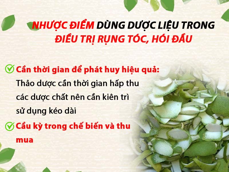 Nhược điểm của việc sử dụng thảo dược trong điều trị bệnh rụng tóc, hói đầu: 1 Nhược điểm của việc sử dụng thảo dược trong điều trị bệnh rụng tóc, hói đầu: 1