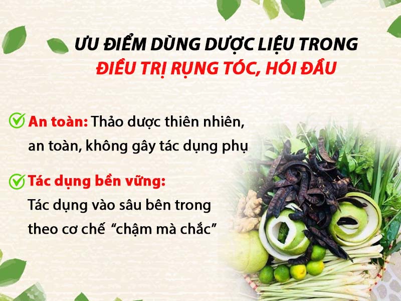Ưu điểm của việc sử dụng thảo dược trong điều trị bệnh rụng tóc hói đầu 1 Ưu điểm của việc sử dụng thảo dược trong điều trị bệnh rụng tóc hói đầu 1