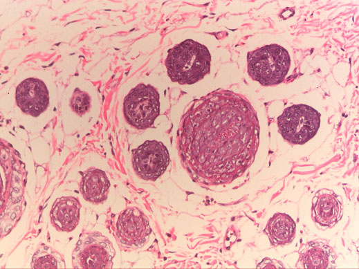 =>> Hoặc Đặt mua giao hàng tận về tận nhà, bấm TẠI ĐÂY 2