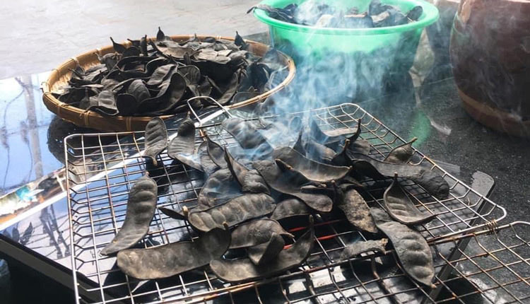 Dùng bồ kết nướng cũng là cách cải thiện tình trạng tóc rụng có hạt trắng Dùng bồ kết nướng cũng là cách cải thiện tình trạng tóc rụng có hạt trắng