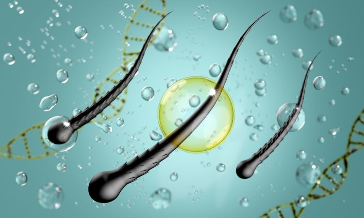 Nước vo gạo có tác dụng kích thích sự phát triển của tóc Nước vo gạo có tác dụng kích thích sự phát triển của tóc