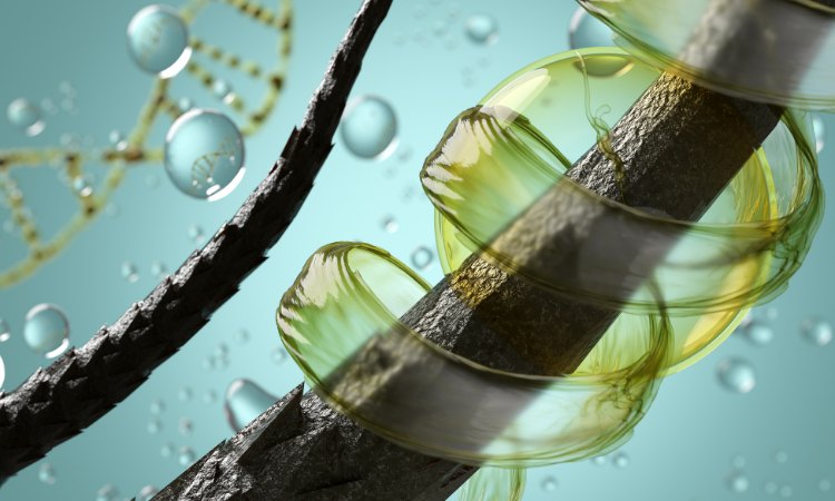 Ủ tóc bằng đậu bắp giúp tóc luôn chắc khỏe và mềm mượt Ủ tóc bằng đậu bắp giúp tóc luôn chắc khỏe và mềm mượt